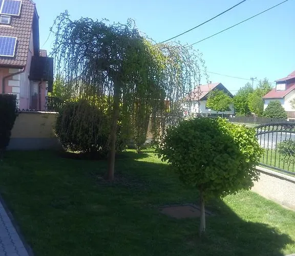Kata Vendeghaz Bük